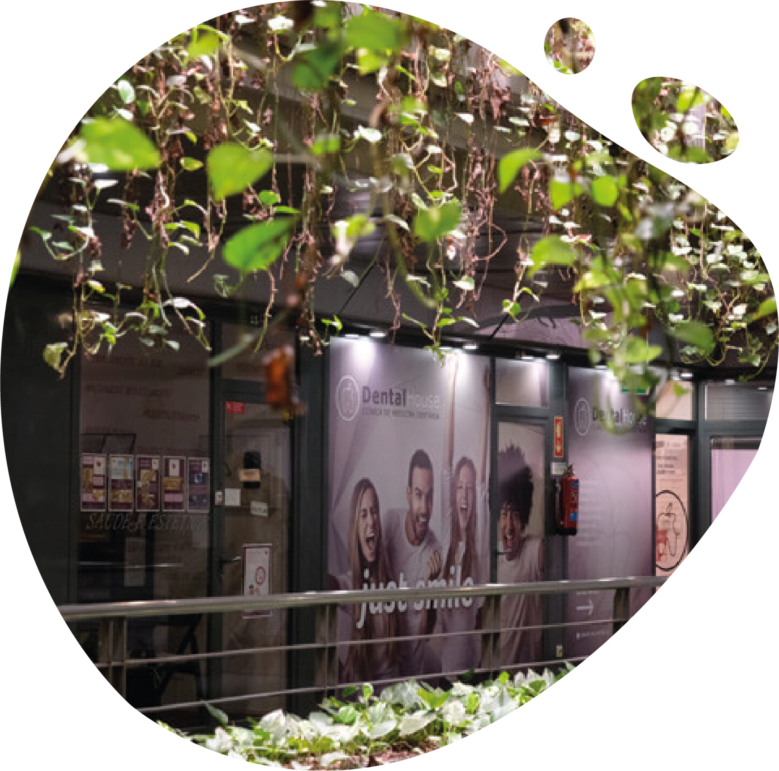 https://v2020.mydentalhouse.com/wp-content/uploads/clinica1.png